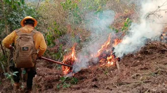 Puebla marcha en sexto lugar nacional en incendios forestales, con 242