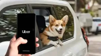 Uber lanza Uber Pet en Puebla para viajar con mascotas