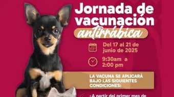 Puntual Jornada de Vacunación Antirrábica Canina y Felina en Huauchinango