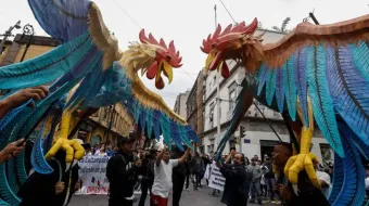Marchan en CDMX en defensa de peleas de gallos y corridas de toros tras reforma antitaurina