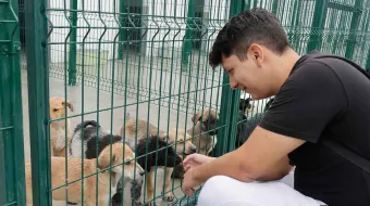 Un 84% de municipios poblanos carecen de un Centro del Bienestar Animal