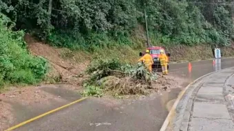 Inundaciones y deslaves en la Sierra Norte; tormentas también derriban árboles