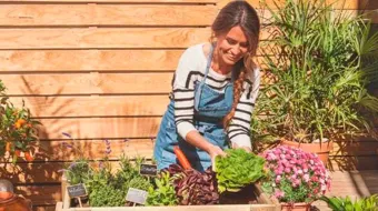 El impacto positivo de las flores: bienestar y sostenibilidad agrícola
