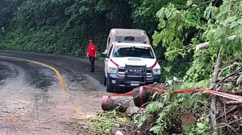 Lluvias por Erick causan derrumbes y afectaciones en Puebla