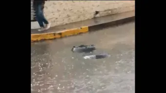 Fuertes lluvias generan encharcamientos y afectaciones en Texmelucan
