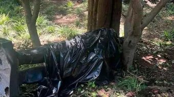 Estatua de Felipe Calderón cae en Los Pinos por lluvias y sigue cubierta con bolsa negra