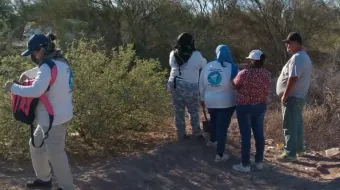 Horror en Sonora: madre y sus tres hijas son asesinadas y halladas abrazadas bajo un árbol