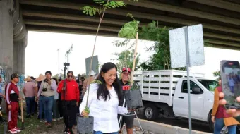 Ariadna Ayala y vecinos reforestaron la zona del puente Cantarranas