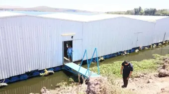 Puebla lanza fertilizante industrial y planea versión orgánica
