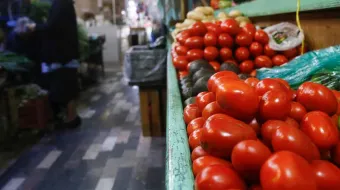 Puebla busca nuevos mercados para exportar tomate ante cuotas antidumping impuestas por EU