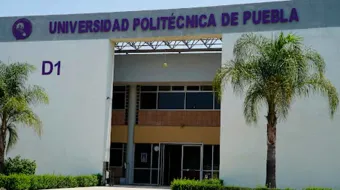 UPP impulsa el emprendimiento juvenil con proyectos de impacto social, económico y ambiental