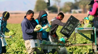 Trump admite que los inmigrantes sí hacen trabajos que los estadounidenses no quieren: “No se pueden sustituir fácilmente”
