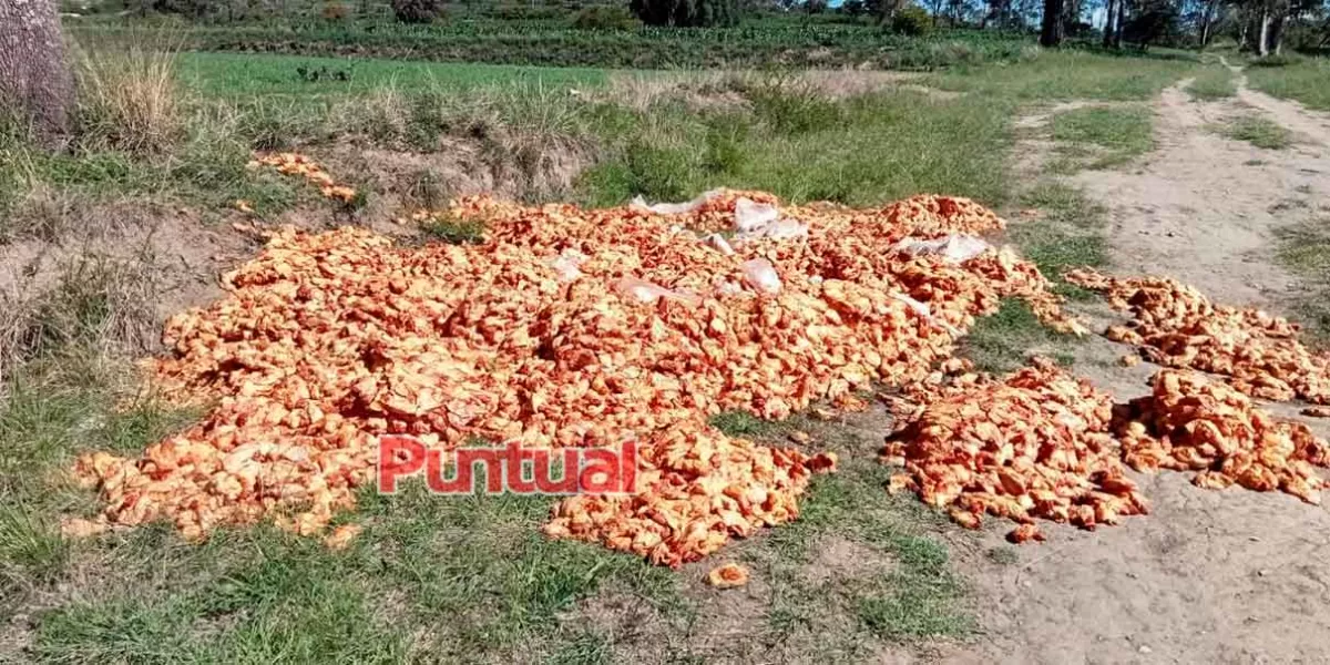 Abandonan varios kilos de pollo en relleno sanitario de Texmelucan