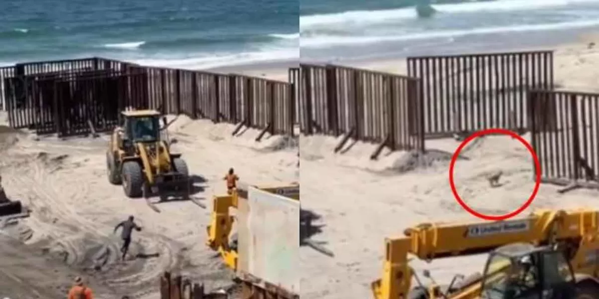 VIDEO. Lomito aprovecha descuido durante los trabajos en el muro fronterizo y cruza a EU junto con otras personas