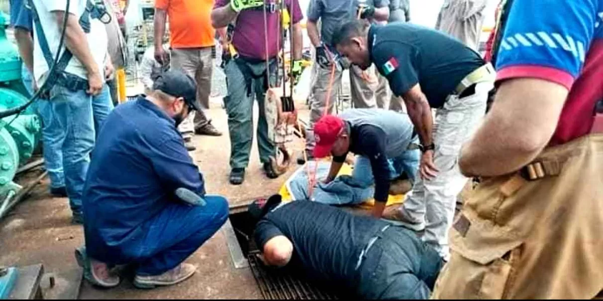 Hallan cocodrilo atorado en tubería de Tamaulipas; medía casi 3 metros