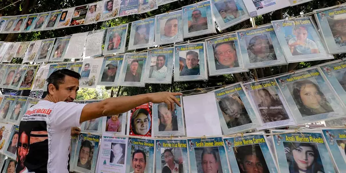 Para recordar y exigir justicia por desaparecidos, activistas colocan “Árbol de la Esperanza”