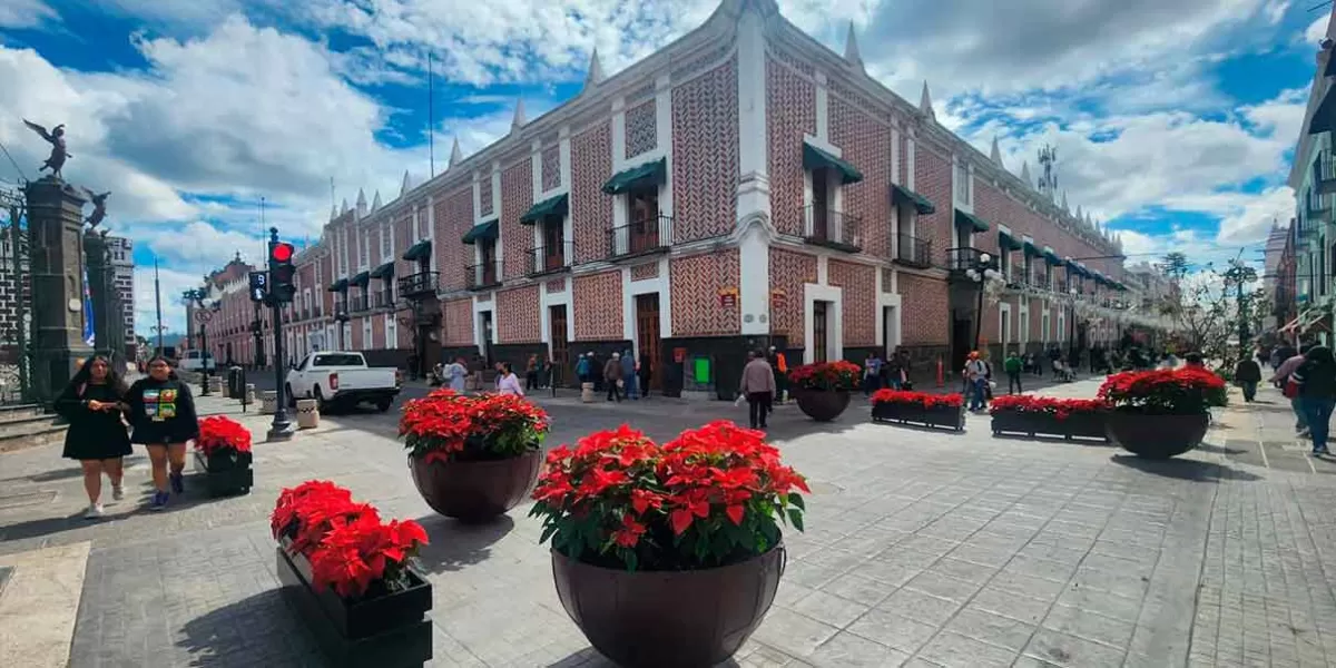 Con la siembra de más de 200 de flores de nochebuena adornan el Centro Histórico de Puebla