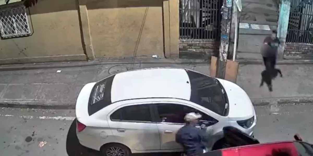 Hombre sorprende a ratas robando espejos de su auto y los agarra a TIR0S