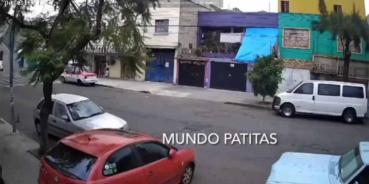 VIDEO FUERTE. Hombre mata balazos a perro en la CDMX