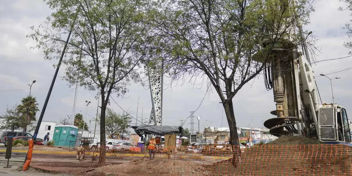 Ya están en malas condiciones los árboles que serán derribados por el distribuir vial Amalucan