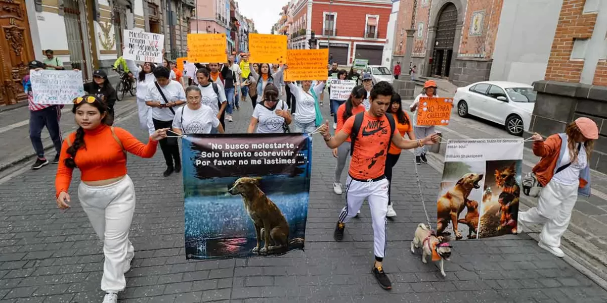 Animalistas de Puebla exigen penas más fuertes contra agresores