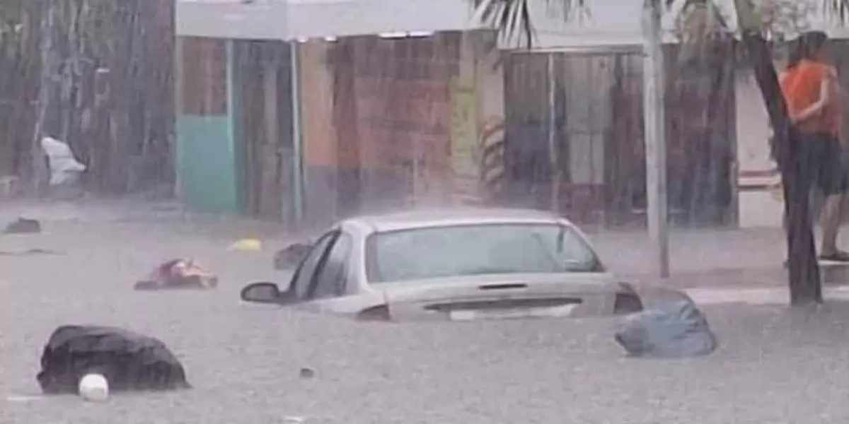 Autos flotan en Veracruz tras fuertes lluvias e inundaciones