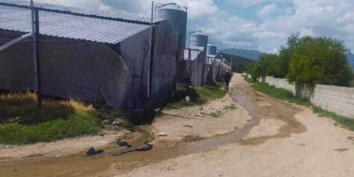 En San Gabriel Chilac obligan a las autoridades a evitar contaminación de manantial
