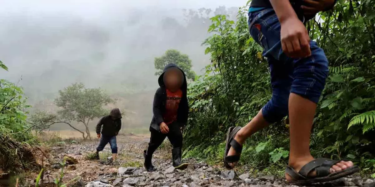 Para evitar el reclutamiento forzado, habitantes de zona fronteriza de Chiapas huyen 