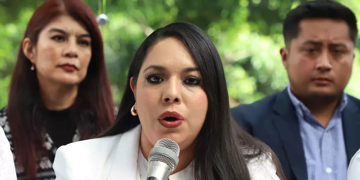 Tonantzin Fernández vs Roxana Luna; la denunciará por campaña de odio