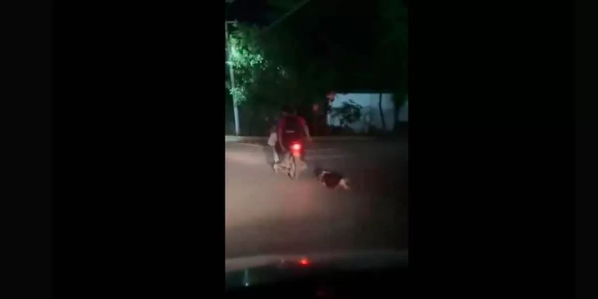 VIDEO. Motociclistas arrastran a un perro por la calle en Tabasco