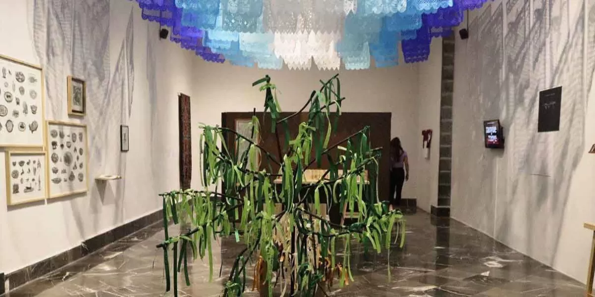 Exposición "Nombrar / To Be Named” llega a galería del Palacio Municipal