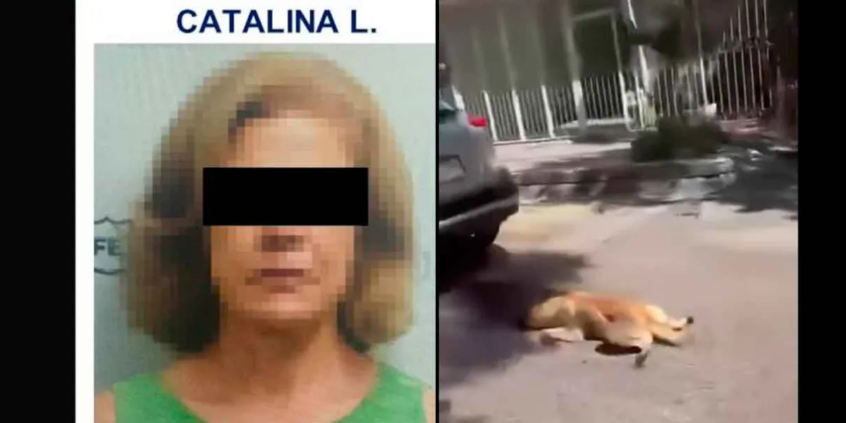 VIDEO. Metan al bote a mujer que arrastraba a un perro con su camioneta 