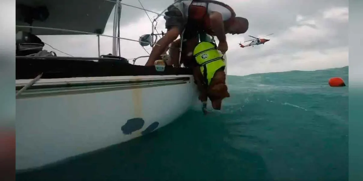 VIDEO. Hombre y su mascota son rescatados en medio del huracán Helene