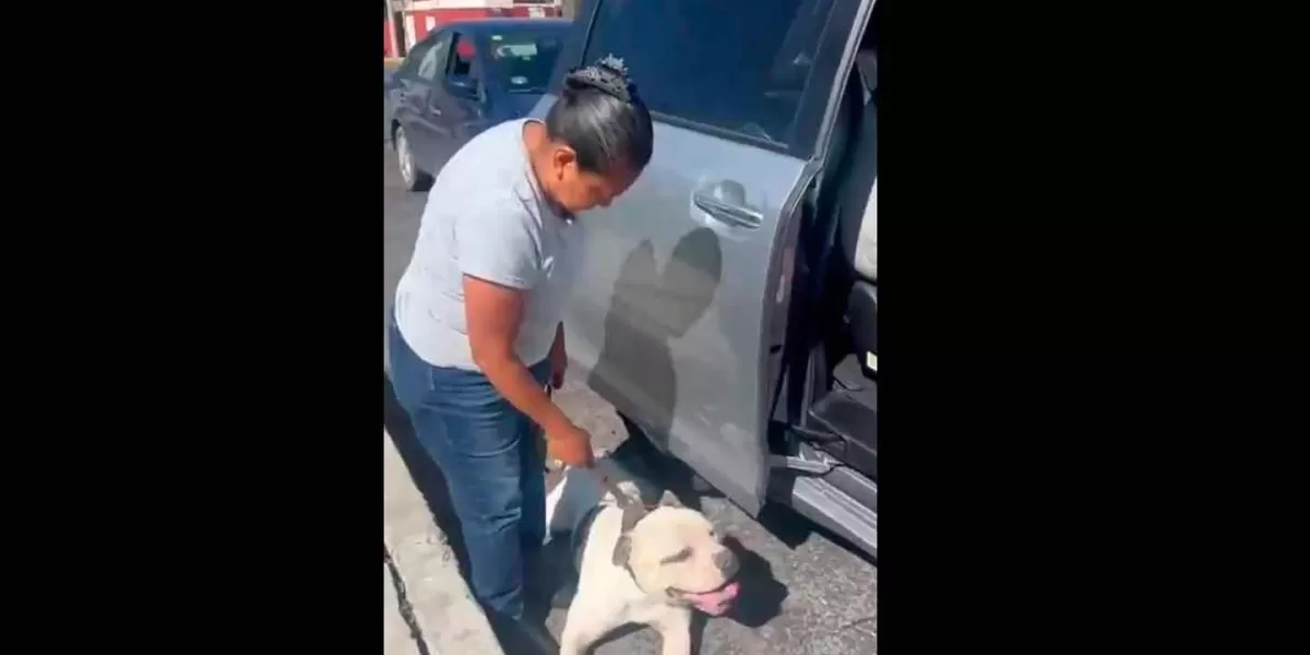 VIDEO. Perro era arrastrado por su dueña desde una camioneta, según lo sacó a pasear 