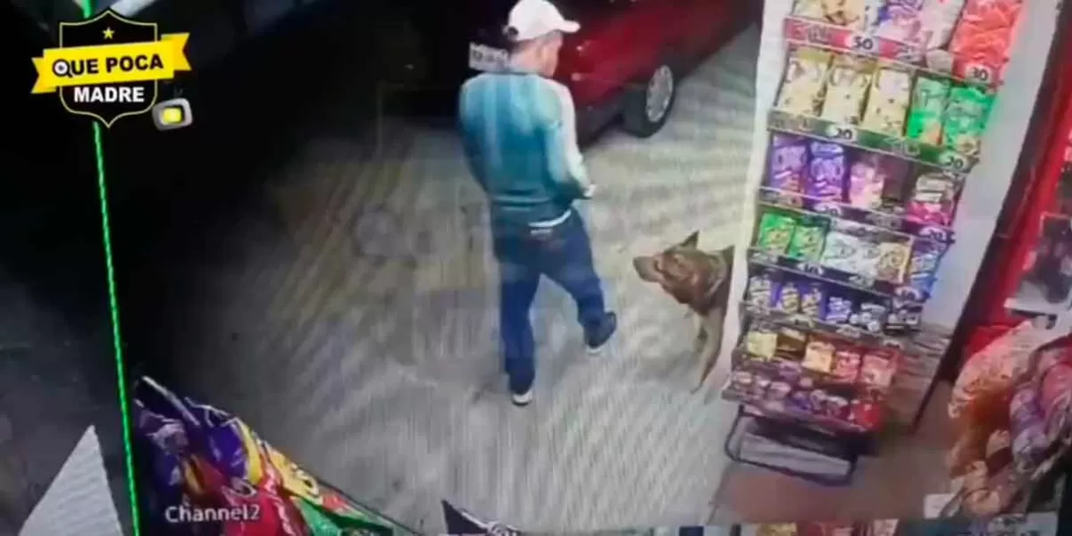 VIDEO. Perro es apuñalado por sujeto solo por qué sí en Ixtapaluca