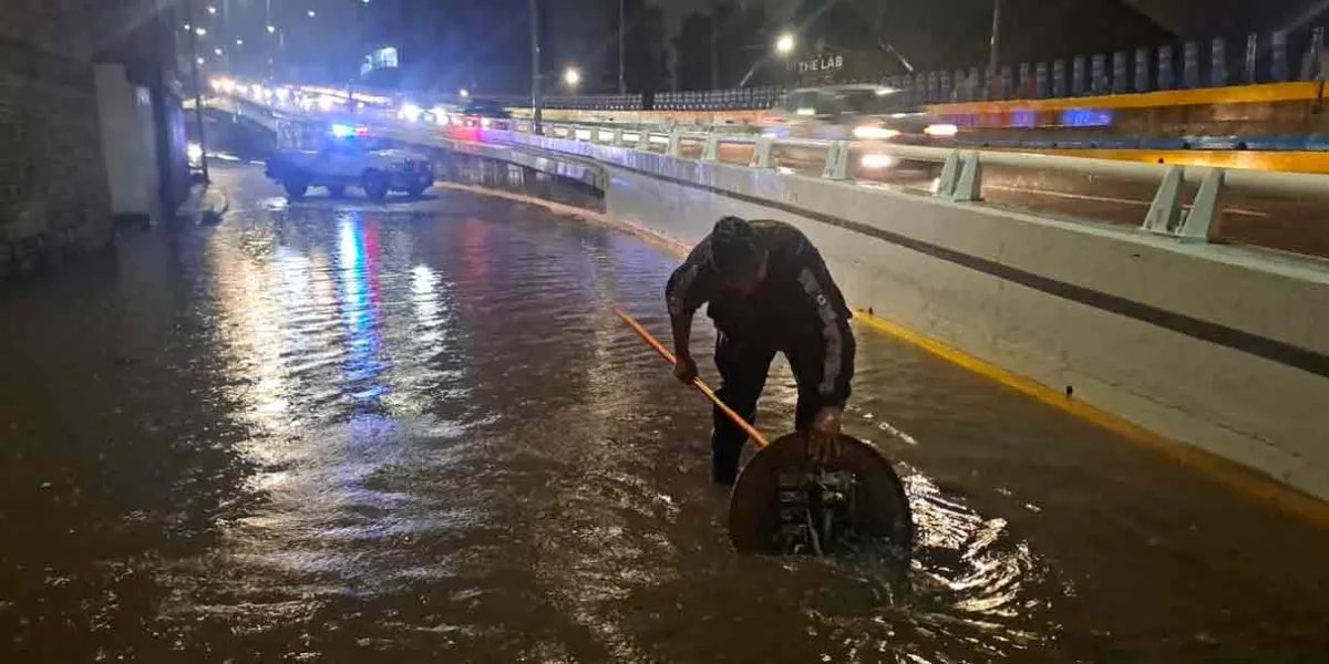 Lluvias derribaron árboles, causaron inundaciones y apagones en la capital 