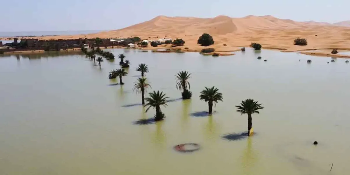 El desierto del Sahara queda bajo el agua; IMÁGENES ESPECTACULARES dan la vuelta al mundo