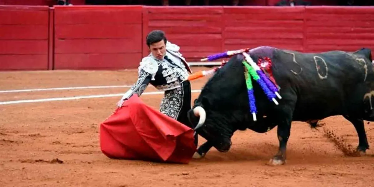 Claudia Sheinbaum avanza hacia reforma para prohibir corrida de toros en México