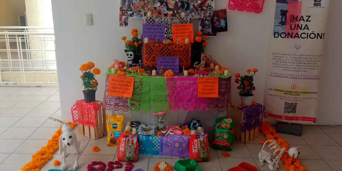 Festival de la Vida y la Muerte llega a Texmelucan con desfile de catrinas