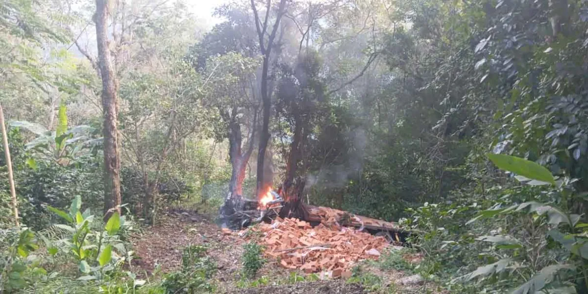 Tractocamión choca y se incendia tras quedarse ¡SIN FRENOS!