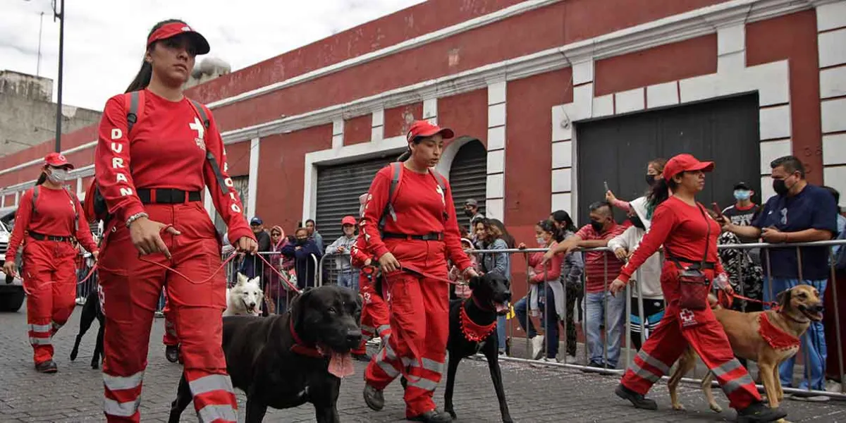 8 mil alumnos participarán en el desfile del 20 de noviembre