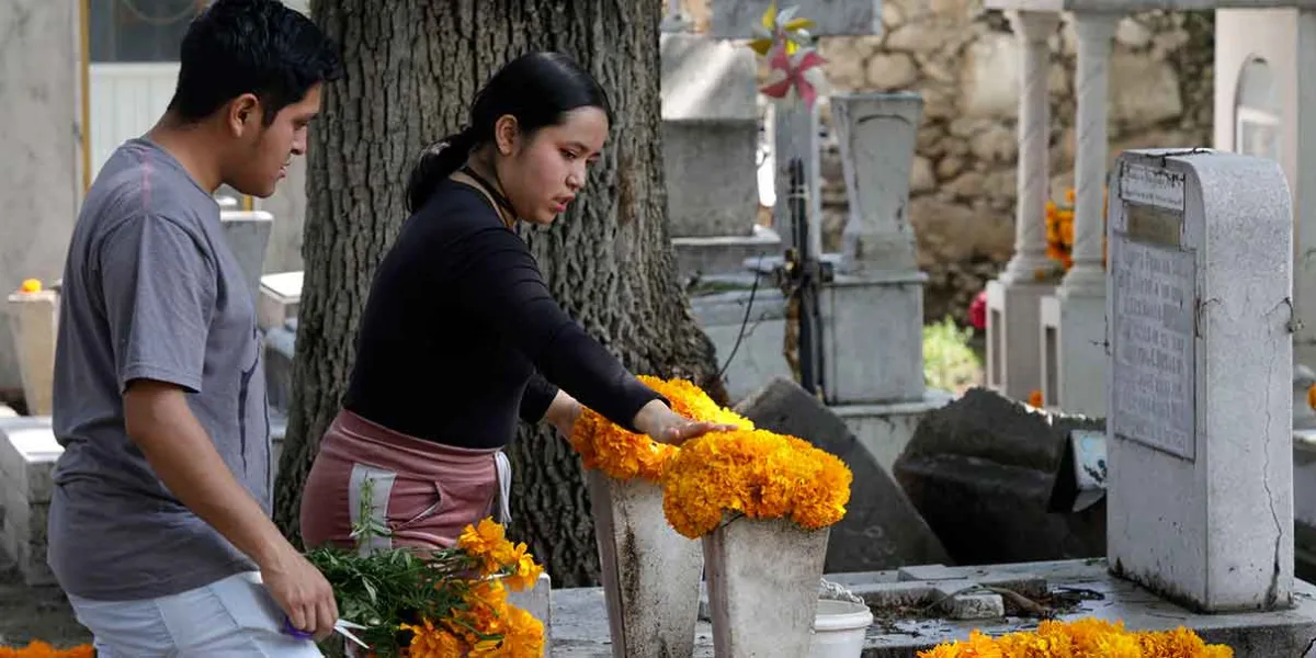 Comerciantes de flores en Puebla reportan incremento de ventas por Día de Muertos