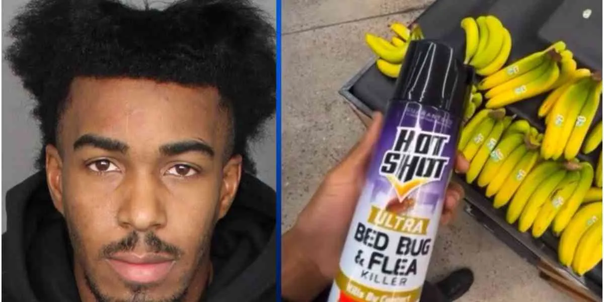 Influencer arrestado tras grabarse rociando insecticida en productos de un supermercado