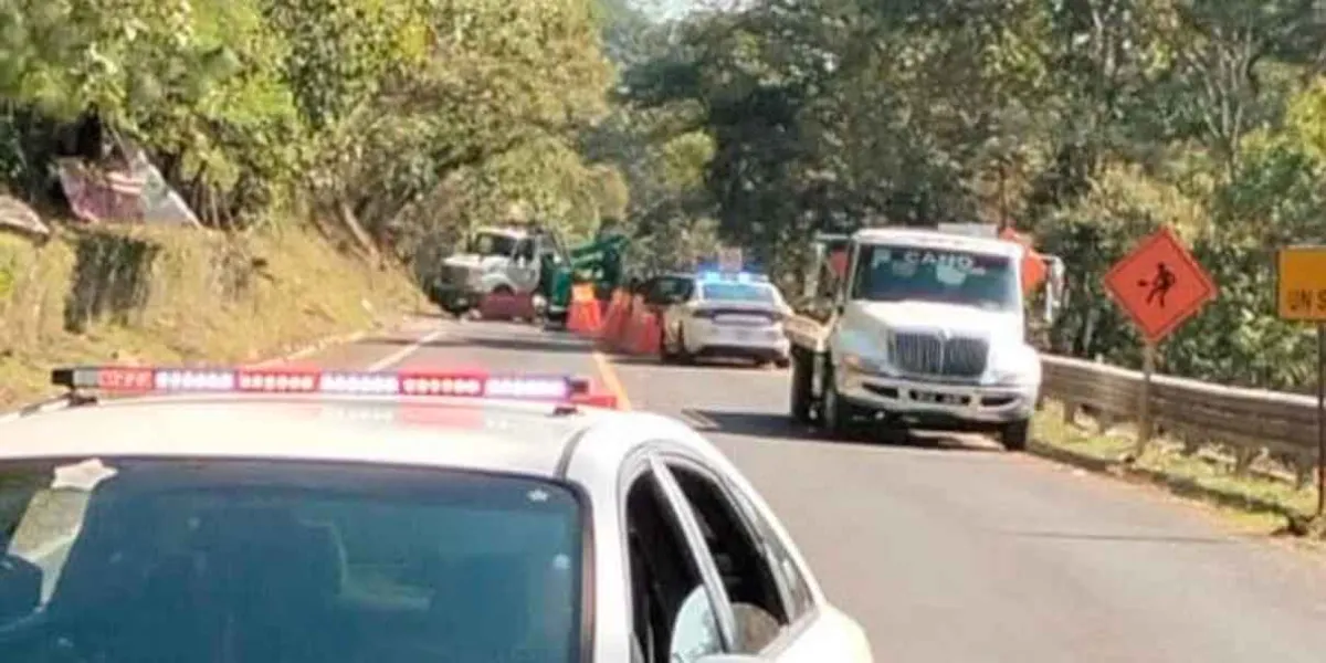 Ataque armado deja un muerto y dos heridos tras torneo de gallos en Xicotepec