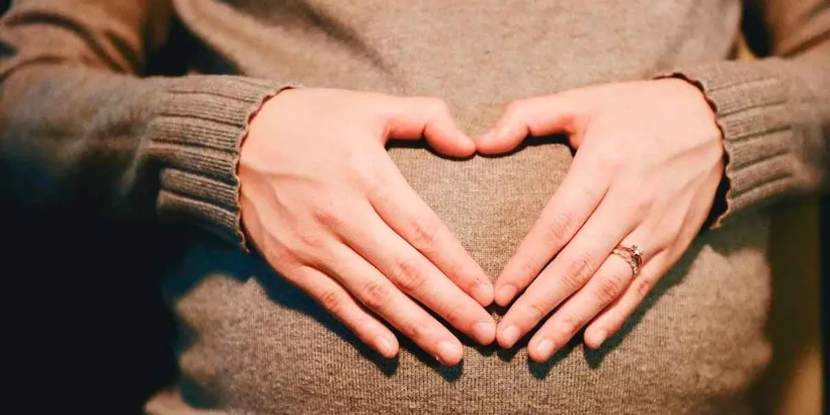 El cerebro durante el embarazo: cambios que fortalecen el vínculo entre madre e hijo