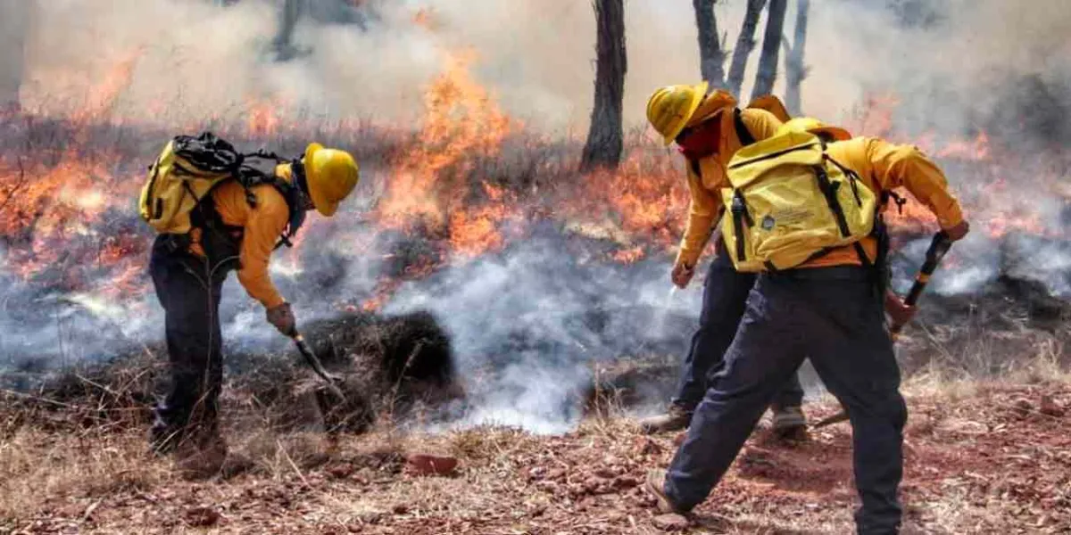 Puebla ya tiene afectaciones por los incendios forestales