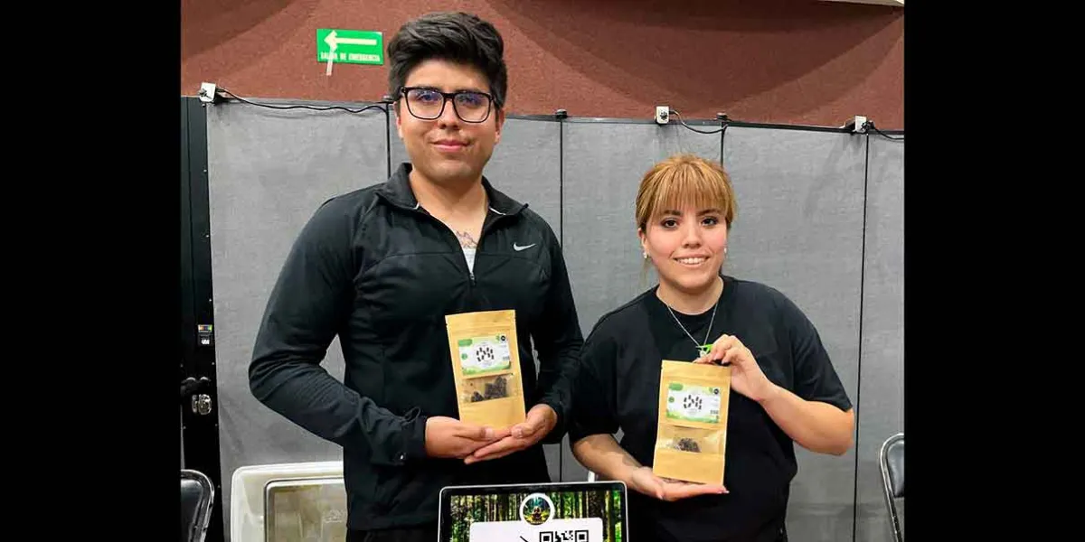 Chocozen: el aliado para combatir el estrés académico, creado por alumnos de la Ibero