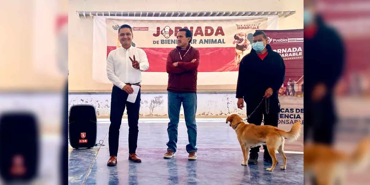 Gobierno de la Ciudad llevó con éxito Jornada de Protección Animal a La Guadalupana