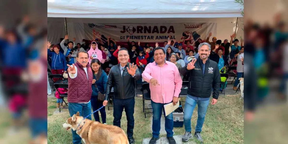 Gobierno de la Ciudad realizó con éxito jornadas de protección animal en diferentes puntos