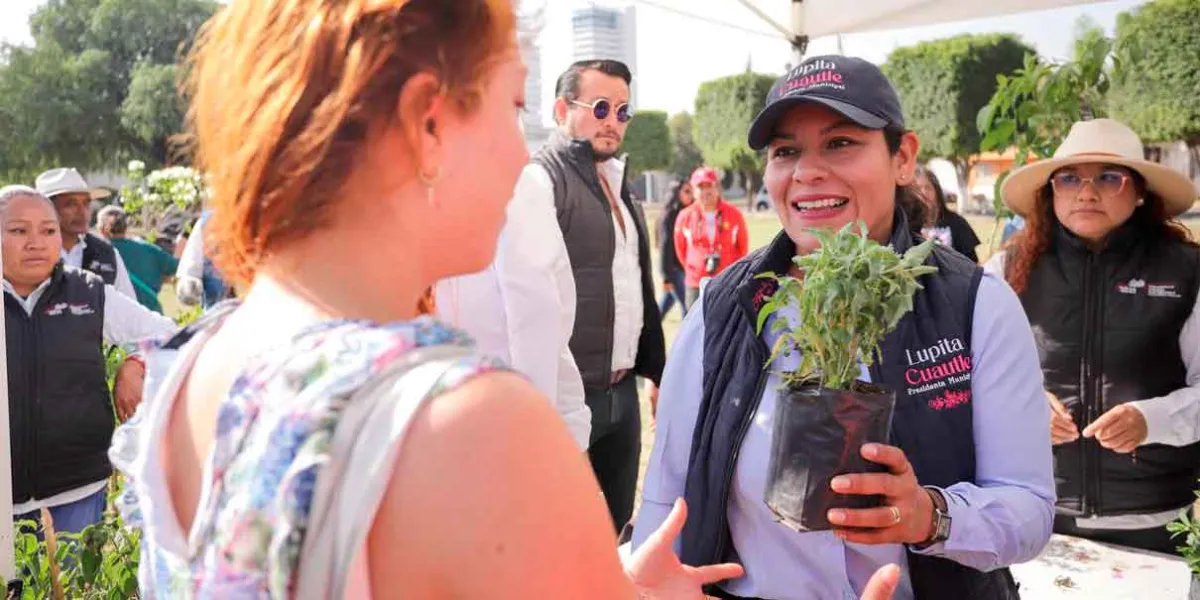 Promueve Lupita Cuautle el cuidado del medio ambiente con adopción de árboles 